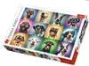 Trefl 10462, 1000 szt., Animals, 12 lat(a) Podgląd zdjęcia produktu 6