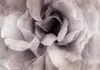 Vlies Fototapete - Entrance to Bliss 100x70 cm Blumen Produktbild-Vorschau 5