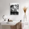 Poster - Poster ohne Rahmen - Wald Kiefer Sonne - 50x70 cm Produktbild-Vorschau 5