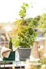 Poétic Zubehör CITY Blumenkübel Untersetzer Seidengrau Ø 24 Produktbild-Vorschau 2