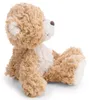 Nici Kuscheltier Bär Finni 20 cm karamell Plüschbär Produktbild-Vorschau 2