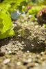 Gardena Combisystem Grubber-Harke Produktbild-Vorschau 8