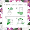 AirWick Duftstecker Seide & Lilienfrische Nachfüller 19ml, Produktbild-Vorschau 8