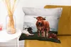 MuchoWow® Zierkissen Sofakissen Wohnzimmer Dekokissen 60x60 Produktbild-Vorschau 6
