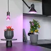 A kitchen counter with plants under grow lights. Anteprima dell’immagine prodotto