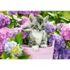 Castorland Kitten in Basket Puzzle 1500 Teile Produktbild-Vorschau 1