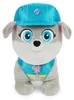 Rubble & Crew -  Basis Plüsch 20 cm groß (sortierter Produktbild-Vorschau 4