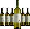 Zenato Custoza DOC -trocken- (6 x 0,75L) Produktbild-Vorschau 1