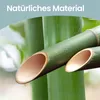 Close-up of cut bamboo stalks with water droplets, with text overlay. Produktbild-Vorschau