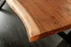 riess-ambiente Massivholz Esstisch MAMMUT NATURE 180cm Produktbild-Vorschau 6