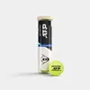 A tube of tennis balls with one ball in front of it, on a plain background. Podgląd zdjęcia produktu