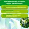 Purgrün Calla-Dünger 1 Liter, Produktbild-Vorschau 3