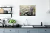 MuchoWow® Poster Maine Coon Cat zwischen den roten Rosen im Produktbild-Vorschau 3
