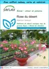 SAFLAX Ensemble-cadeau - Rose du désert - 8 graines - Voir les images du produit 1