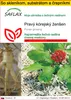 SAFLAX Kultivačný set - Pravý kórejský ženšen - Panax Náhľad obrázku produktu 1