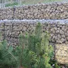 Schicker Mineral-Kalk Gabionensteine beige-60-120mm Produktbild-Vorschau 4