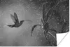 MuchoWow® Poster Kolibri im Regen in der Natur von Costa Produktbild-Vorschau 1