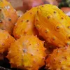 Gurke Kiwano Samen - Cucumis metuliferus - Gurkensamen - Produktbild-Vorschau 6