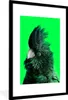 MuchoWow® MuchoWow® Gerahmtes Poster Kakadu - Vogel - Grün Produktbild-Vorschau 1