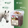 PANTO Leckerli Apfel & Karotte 3.2kg - Pferdeleckerlies Produktbild-Vorschau 2