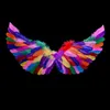 A pair of colorful feather wings against a black background. Produktbild-Vorschau