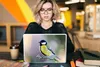 MuchoWow® Laptop Aufkleber Sticker Cover Kohlmeise - Vogel Produktbild-Vorschau 5