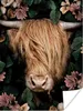 MuchoWow® Poster Schottisches Hochlandrind - Porträt - Kuh Produktbild-Vorschau 1