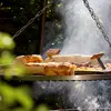 Ruszt do grilla ROUND - 70 cm wykonany ze stali nierdzewnej Podgląd zdjęcia produktu 7