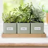 Three potted herbs on a wooden tray. Anteprima dell’immagine prodotto