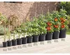 elho green basics Anzuchttopf 21cm - lebhaft schwarz Produktbild-Vorschau 9