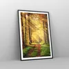 Gerahmtes Poster - Schwarzer Rahmen - Wald Baum Natur - Produktbild-Vorschau 8