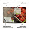 Tomatenzaden (Saint Pierre, 10 stuks) - Tomatenzaad van Productafbeelding-voorbeeld 5