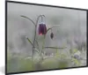 MuchoWow® MuchoWow® Gerahmtes Poster Gefroren - Eiscreme - Produktbild-Vorschau 1