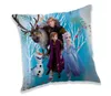 Cuscino Frozen 02 Family 40x40 cm Anteprima dell’immagine prodotto 2