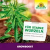 Neudorff GrowBoost – Natürlicher Cannabis Wurzelaktivator Produktbild-Vorschau 6