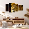 Bild auf Leinwand - Leinwandbild - Löwe Tiere Tierwelt - Produktbild-Vorschau 7
