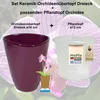 MePla - 2 Stück - Orchideenübertopf Dreieck ø 14 Pflaume + Produktbild-Vorschau 2