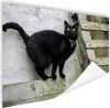 MuchoWow® Poster Katze - Schwarz - Palette - Mädchen - Produktbild-Vorschau 1
