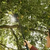 FISKARS ONECLICK Gartenhacke Kopf 19 cm + Stiel 119-174 cm Produktbild-Vorschau 5