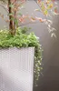 A close-up of a planter with plants. Anteprima dell’immagine prodotto