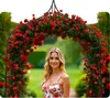 Plonos PL-991 Pergola zahradní oblouk 265 cm, tmavě zelená Náhled obrázku produktu 9