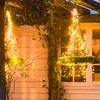 50LEDs 1 Meter Lichterschweif Lichterbündel Produktbild-Vorschau 1