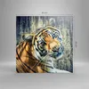 Bild auf Leinwand - Leinwandbild - Indien stein tiger wild Produktbild-Vorschau 3