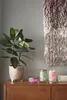 Yankee Candle Art In The Park, Zylinder, Kiefer, Apfel, Produktbild-Vorschau 7