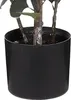 Plante artificielle en pot EUCALYPTUS Voir les images du produit 3