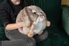 Cozy Noxxiez Bunny, Wielobarwny, Okrągły, Plusz, Podgląd zdjęcia produktu 11