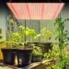 65W 360 LED lampa do roślin pełne spektrum białe światło Podgląd zdjęcia produktu 4