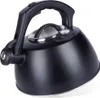 Bouilloire en acier noir avec thermomètre pour eau, pour Voir les images du produit 8