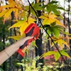 ONVAYA® Ersatz Akku für elektrische Gartenschere | Produktbild-Vorschau 4