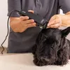 Wahl REX , kabelgeb. Tierschermaschine Produktbild-Vorschau 3